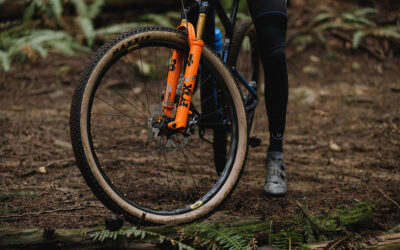 6 Reasons Why Your Next Wheelset Needs to Be Carbon