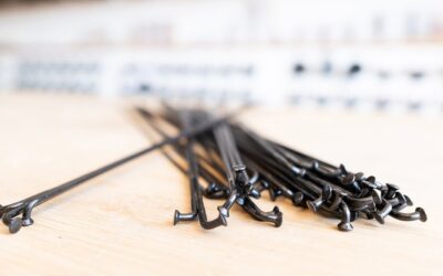NOBL Tested: Our Swap to Alpina Spokes