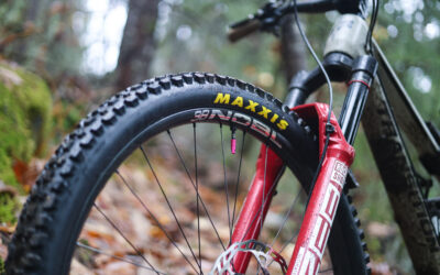 NOBL Signature 38 Review: No Limits Found