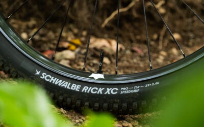 2026 Best Ultralight XC Carbon Wheels: NOBL Ethos SL180 vs Berd HAWK30 Gold vs Roval Control World Cup