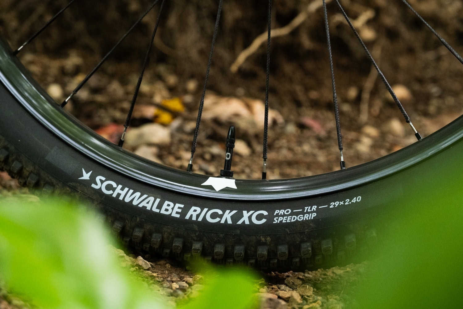 2026 Best Ultralight XC Carbon Wheels: NOBL Ethos SL180 Vs Berd